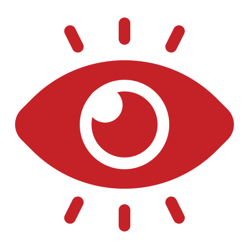 Vision
